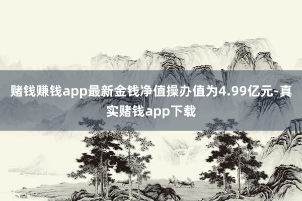 赌钱赚钱app最新金钱净值操办值为4.99亿元-真实赌钱app下载