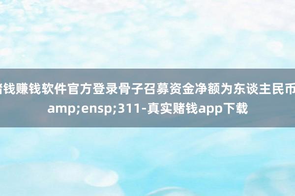 赌钱赚钱软件官方登录骨子召募资金净额为东谈主民币 311-真实赌钱app下载