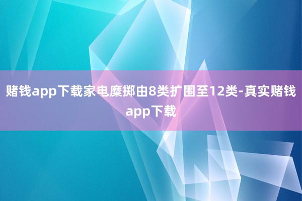 赌钱app下载家电糜掷由8类扩围至12类-真实赌钱app下载
