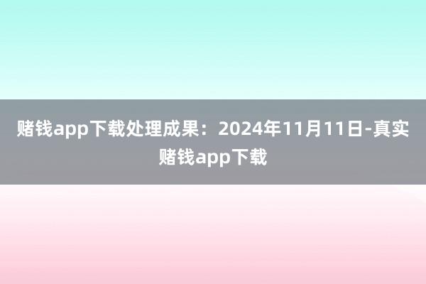 赌钱app下载处理成果：2024年11月11日-真实赌钱app下载