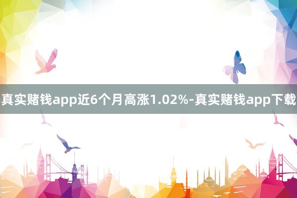 真实赌钱app近6个月高涨1.02%-真实赌钱app下载