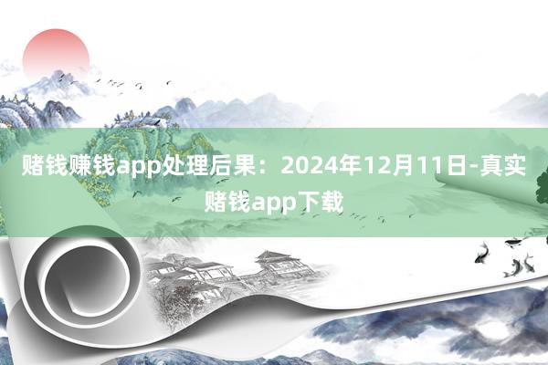 赌钱赚钱app处理后果：2024年12月11日-真实赌钱app下载