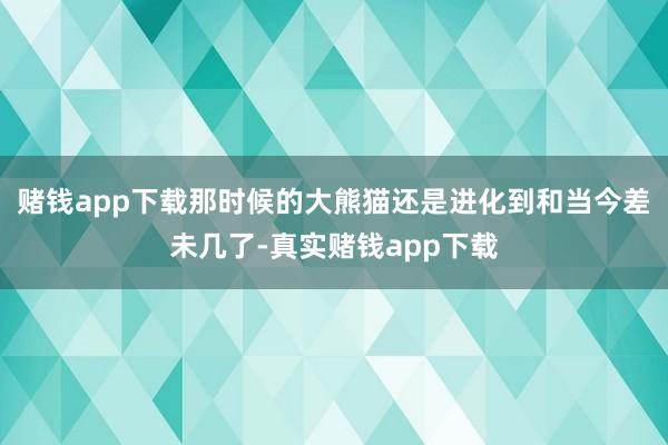 赌钱app下载那时候的大熊猫还是进化到和当今差未几了-真实赌钱app下载