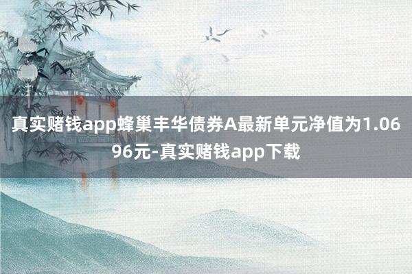 真实赌钱app蜂巢丰华债券A最新单元净值为1.0696元-真实赌钱app下载