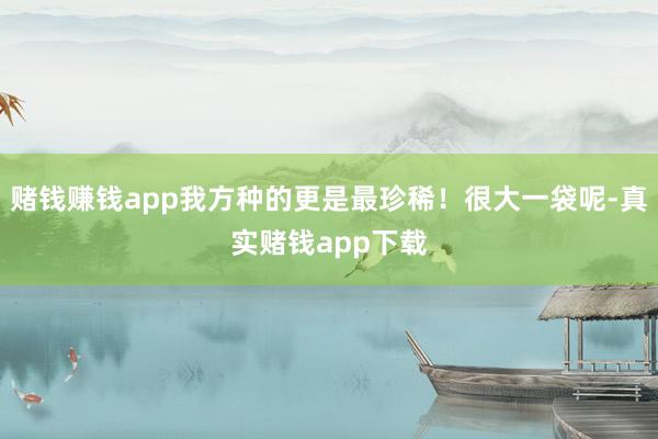 赌钱赚钱app我方种的更是最珍稀！很大一袋呢-真实赌钱app下载