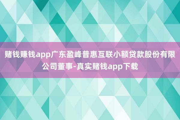 赌钱赚钱app广东盈峰普惠互联小额贷款股份有限公司董事-真实赌钱app下载