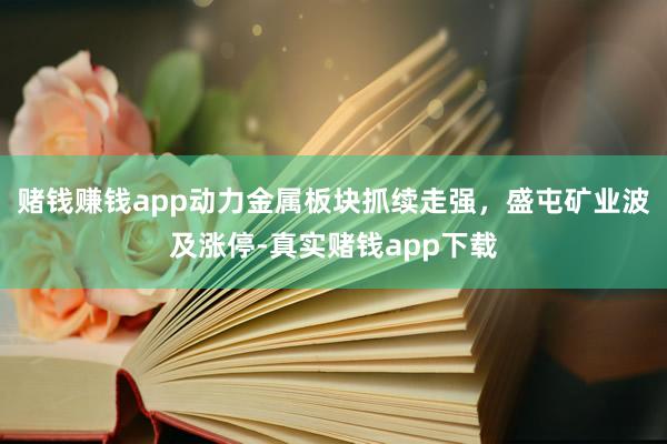 赌钱赚钱app动力金属板块抓续走强，盛屯矿业波及涨停-真实赌钱app下载