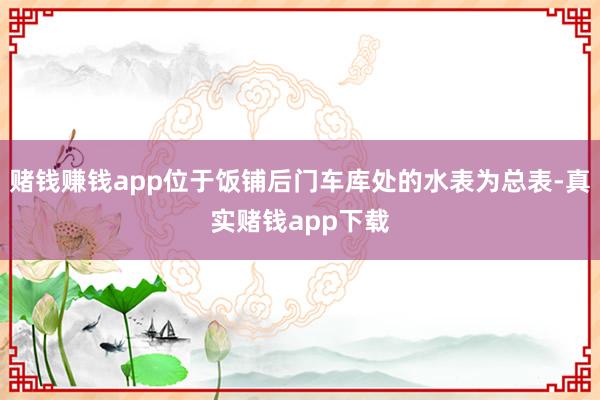 赌钱赚钱app位于饭铺后门车库处的水表为总表-真实赌钱app下载