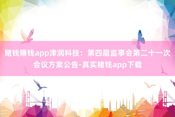 赌钱赚钱app津润科技:第四届监事会第二十一次会议方案公告-真实赌钱app下载